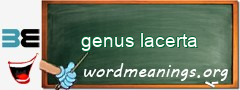 WordMeaning blackboard for genus lacerta